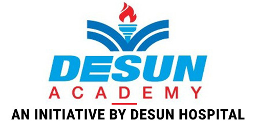 Desun Academy